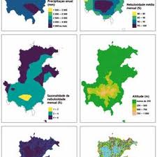 Image result for Liparis killmanniae