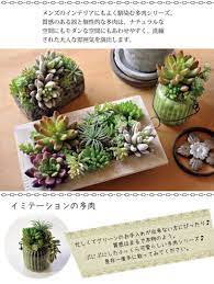 楽天市場 自由が丘から贈る フェイク多肉 リースタイプ 造花 多肉植物 人工観葉 フェイク 寄せ植え ギフト 観葉植物 楽ギフ 包装 誕生日 サボテン 引越 祝い 新築祝い あす楽 日曜営業 寄せ植え インテリア フェイク多肉植物 fktk flowerkitchenjiy