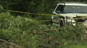 6410 arlington boulevard, falls church, va 22042. Tree Falls On Kills Man At Orange County Church