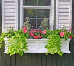 Check spelling or type a new query. 37 Gorgeous Window Flower Boxes With Pictures