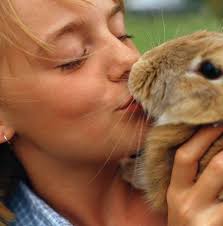 Consumer Power for Animals COVER STORY