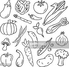A Variety Of Vegetable Doodles Flower Drawing Tutorials Doodles Doodle Illustration
