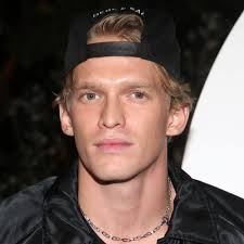 From the stage to the pool! Cody Simpson Brach In Bienenstocken Aus Vor Dem Ersten Professionellen Schwimmtreffen Music News Siing