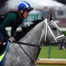 The 2021 belmont stakes returns to its customary spot as the final jewel of the triple crown, and is shaping up to be an unpredictable race despite featuring only eight thoroughbreds. 8muauif6qud7cm