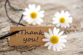 Send beautiful flowers with thank you to your loved who are really special for you. 7 808 Thank You Flowers Stock Photos Free Royalty Free Thank You Flowers Images Depositphotos