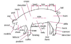 External Parts Of Pig Saferbrowser Yahoo Image Search Results Pig Farming Livestock Judging Pig