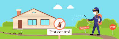 We handle all types of pest problems in residential with amazing experience in the field and by adopting modern technology and tools, we as best in pest control companies of delhi & ncr offers. Top 10 Pest Control Services In New Delhi Safe Certified Chemicals Urban Company