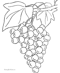 100% free fruit coloring pages. Bunch Of Grapes Grapes Coloring Page Coloring Pages Coloring Books