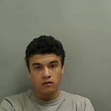 Calls for private security to patrol 'nightmare' town plagued with 'feral  gangs' and criminal damage