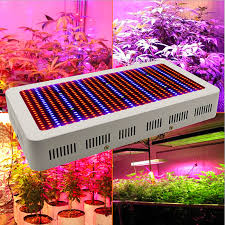 Uv Light Plants Online Shopping Buy Uv Light Plants At Dhgate Com