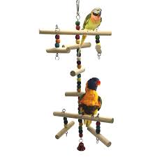 Pin On Birds