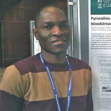 GFP based imaging and expression