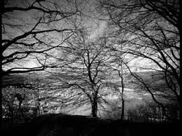 Todo Cambia Mercedes Sosa Canciones Musica Mercedes