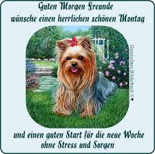 Verschicke lieber lustige sprüche und zauber dir und den empfängern ein montagslächeln ins gesicht. Montag Bilder Montag Gb Pics Seite 2 Gbpicsonline