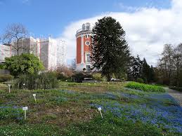 Botanischer garten ile i̇lgili : Grunflache Hardt In Elberfeld Objektansicht