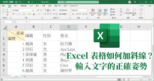 Excel 表格斜线如何打字 范本直接下载套用免学习 小媛啾