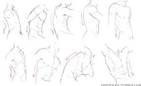 To spare you from hours of memorization, we've made some pretty cool video tutorials, articles and quizzes about muscles of the back. Pin By Logan On Torso Anatomy Reference Drawing Tutorial Guy Drawing