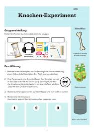 Experiment Und Auswertung Zum Gummi Knochen Anleitung Unterrichtsmaterial Im Fach Biologie In 2020 Anleitungen Experiment Material