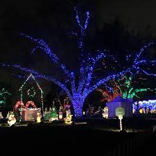 But waiting in line, of course, isn't exactly the fun part. 10 Things You Must See At The Austin Trail Of Lights Austin Tx
