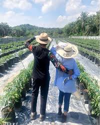 Sedangkan tugas dan fungsinya sama dengan pelabuhan yang. Seronok Berbakti Pada Bumi Doakan Kami Ella Dan Suami Masuk Fasa Kedua Pertanian Teknologi Moden Gempak