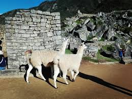 View all turisti per caso pictures. Peru Magico Il Diariodiviaggio Di Turisti Per Caso Facebook