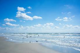 The Best Beaches In Texas Best Beaches In Texas Beach Cocoa Beach Florida