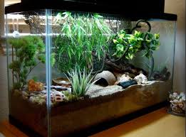 Love This Crabitat Setup Hermit Crab Tank Hermit Crab Hermit Crab Habitat