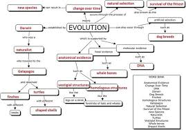 Since darwin developed his ideas on descent with modification and the pressures of natural selection, a variety of evidence has been gathered supporting the theory of evolution. Evolution Concept Map Evolution Concept Map Concept Map Biology Notes