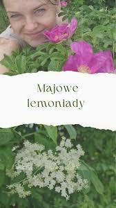 Lemoniady to nic innego jak lekko fermentowane napoje o znikomej ilości  alkoholu. Za początkowy etap fermentacji odpowiedzialne są dzikie drożdże,  których nie brakuje na kwiatach czarnego bzu. W rolce ...