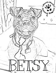 If you are looking to add an awesome dog, cat or other animal to your family, the okc animal shelter is the right place to find your new furry friend. Rescue Dog Coloring Pages North Meck Animal Rescue