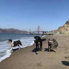 Orders placed after 3pm will be fulfilled the next day. Best Dog Groomers Near Me March 2021 Find Nearby Dog Groomers Reviews Yelp