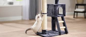 Hey community, ich wollte mich erkundigen wie ihr denn eure katzen beibringt oder klarmacht, das sie nicht überall drauf hüpfen dürfen? Die Katze Kratzt Am Sofa Tipps Infos Fressnapf