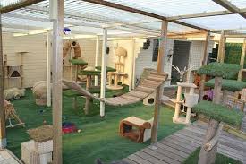 Cat Patios Known As Catios Are The Latest Way To Spoil Your Beloved Kitty 30 Pics In 2020 Cat Patio Cat Playground Cat Playground Outdoor