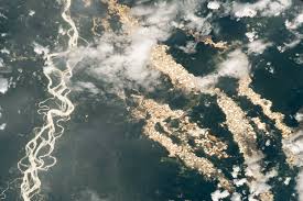 Where is gold river california. Gold Rush In The Peruvian Amazon