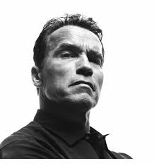 Terminator (T-800) aka Arnold Schwarzenegger, te ayudará en Waze. :: La  Teoria del Bit