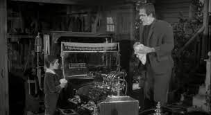 You can use this swimming information to make your own swimming trivia questions. What Was Herman Munster S Occupation Trivia Questions Quizzclub