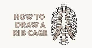 Human rib cage, 3/4 front view skeleton anatomy, human rib cage, skull and bones. How To Draw A Rib Cage Really Easy Drawing Tutorial