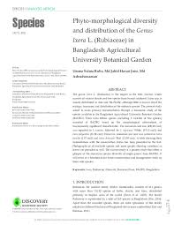 Image result for Ixora kalehensis