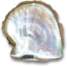 Mother-of-Pearl Gemstones