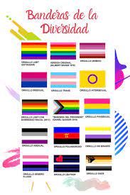 Bandera del orgullo bandera lgbt lgbt fondos chistes estúpidos comunidad lgbt ofrendas bandera del orgullo bandera lgbt hombre trans banderas del mundo tipos de ilustracion gafas. Pin En Lgbti