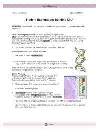 The building dna gizmo™ allows you to construct a dna molecule and go through the gizmo building dna answer key. Anna S Student Exploration Building Dna Studocu