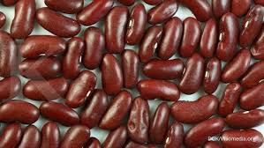 Kacang merah direbus sehingga kembang. Bisa Menurunkan Berat Badan Ini 4 Manfaat Kacang Merah Terbaik Untuk Kesehatan Anda