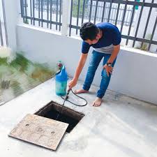 Sebelum itu, ingin pihak redaksi tegaskan bahawa semua perkongsian ini. Masalah Lipas Dalam Rumah Pengalaman Buat Pest Control Simply Noorul