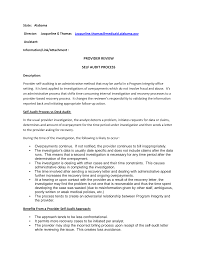 PROVIDER REVIEW SELF AUDIT PROCESS