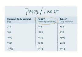 How To Feed Your Puppy The Right Amount Toy Small Burns Pet Nutrition