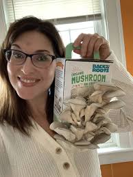 23 Decor Pieces To Consider If Your Design Style Is Both Cottagecore And  Goblincore