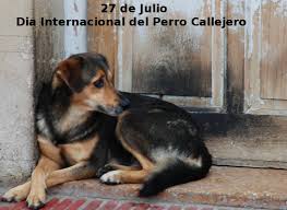 Como casi siempre, detrás de una buena idea, hay una buena historia. Se Celebra Hoy El Dia Internacional Del Perro Callejero Misionesonline