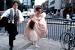 Cast Four Weddings And A Funeral