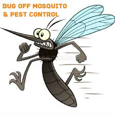 Understand what customers want from their pest control service. Bug Off Mosquito Pest Control Norton Massachusetts Facebook