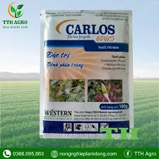 Carlos 60WG